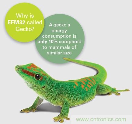 EFM32为什么叫小壁虎