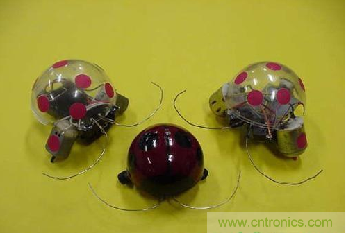 手把手教你自制甲壳虫机器人