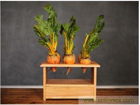 害怕圣诞节没创意？看看发烧友们怎么过圣诞