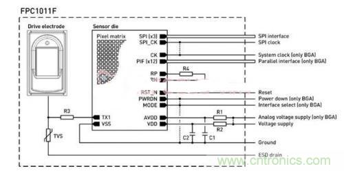 指纹识别新看点：大学生体育锻炼管理系统设计