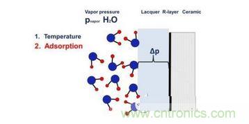  水汽浓度，蒸汽压