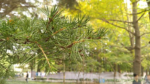 业界良心 LG V10 评测:刚毅、冷峻，不失人性化