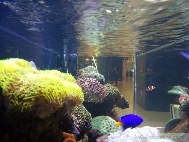 Hi-Fi革命！vivo X6 Plus深度评测：够快才畅快