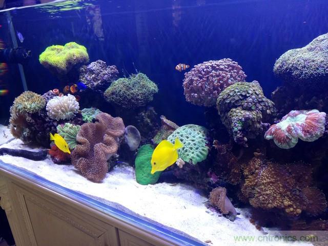 Hi-Fi革命！vivo X6 Plus深度评测：够快才畅快