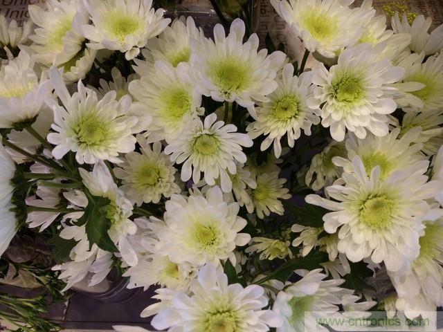 Hi-Fi革命！vivo X6 Plus深度评测：够快才畅快