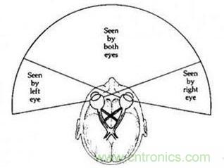 双目重叠技术在VR中有什么作用？