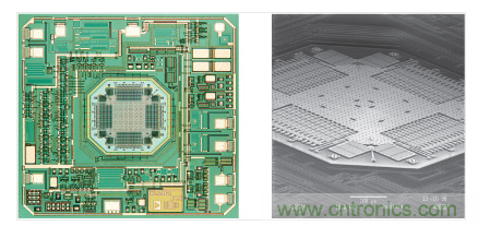  ADXL202 &plusmn;2 g加速度计。