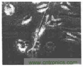 新型纳米材料传感器