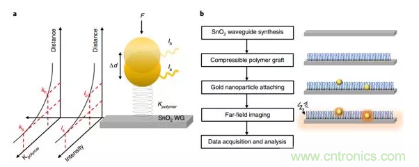 新型纳米级光纤应力传感器:用于分子和细胞水平机械探测