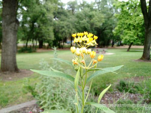 无数的拍摄，只为成就一个完美回忆
