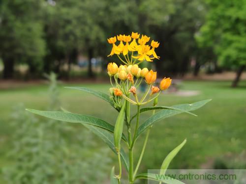 无数的拍摄，只为成就一个完美回忆