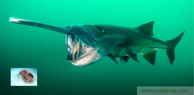 检测不到信号，是加点噪声？还是滤除噪声？