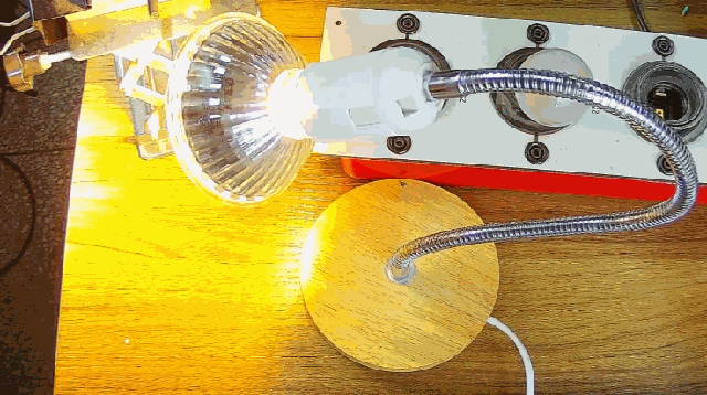 电灯泡内通有交流电，为什么看不到灯泡在闪烁？