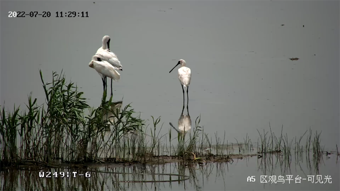 ?？低臃⒉?022年ESG报告：科技为善，助力可持续的美好未来