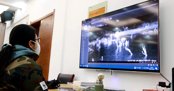 世界湿地日：?？低有忠桓龅厍蜃匀换鸹幔谏虾Ｊ鼗ふ飧鲋匾版湔尽? width=