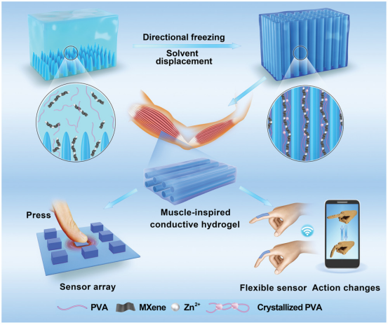 新型多功能柔性可穿戴式传感器守护健康