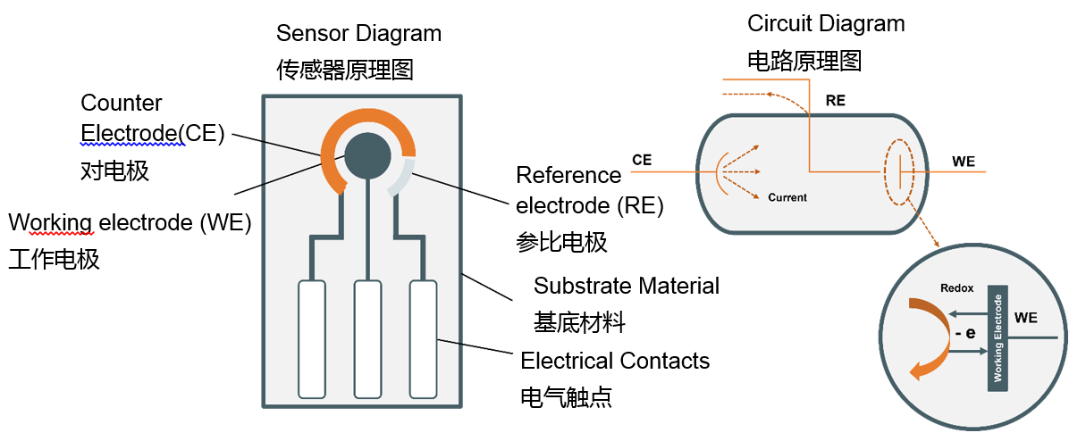电化学感知技术的新时代