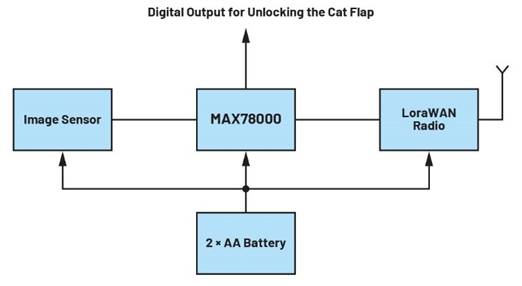 卷积神经网络的硬件转换：什么是机器学习？——第三部分