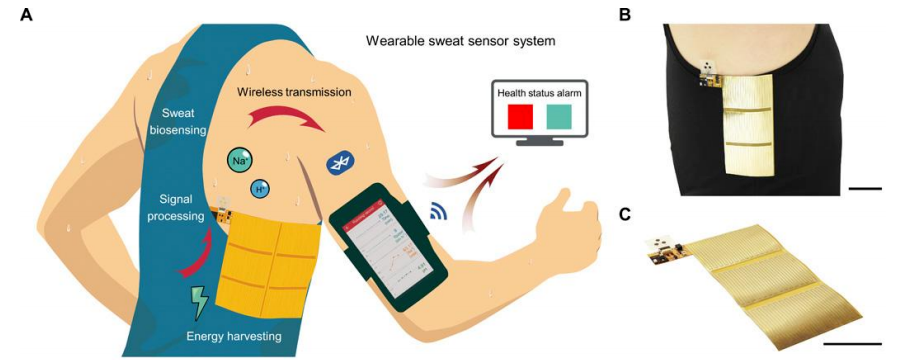 新型多功能柔性可穿戴式传感器守护健康