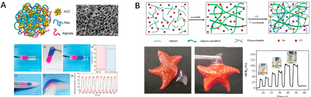 新型多功能柔性可穿戴式传感器守护健康