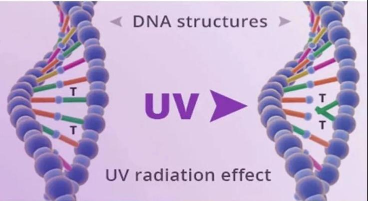一文掌握UV LED在空净消杀领域的主要应用 一文掌握UV LED在空净消杀领域的主要应用