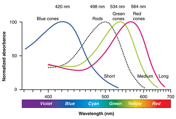 超人之眼:新款颜色和光谱传感器如何看到人们看不见的东西 超人之眼:新款颜色和光谱传感器如何看到人们看不见的东西